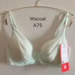 Item thumbnail for item f833af46-86d8-4078-a3d9-a3b8c2c385a0