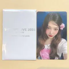 SMTOWN 東京 MD ランダム Red Velvet ジョイ JOY トレカ