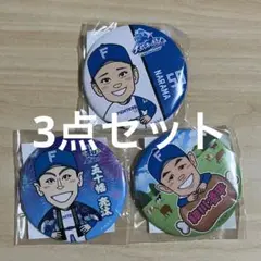 ファイターズガチャ3点