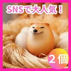 柴犬スクイーズ しばこ　しばいぬ　 卵型 ハード　フィギア シバイヌ 2個セット