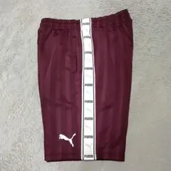 プーマ　小豆茶色　ジャージ　ズボン　短パン　ショートパンツ　M