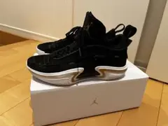 エアジョーダン36ロー AIR JORDAN 36 LOW PF 27.0cm