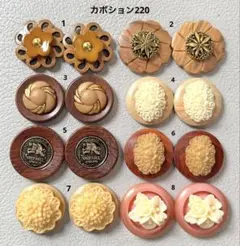 ボタンカボション220⑨ 8/8