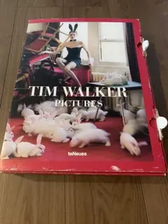Tim walker Pictures.