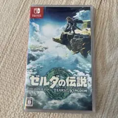 ゼルダの伝説 ティアーズ オブ ザ キングダム ソフト