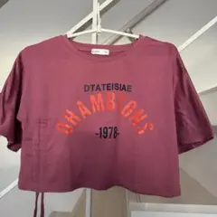ショート丈Tシャツ