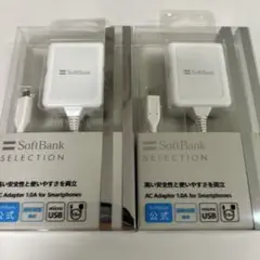 micro USB 充電AC アダプタ　1.0A 2個セット