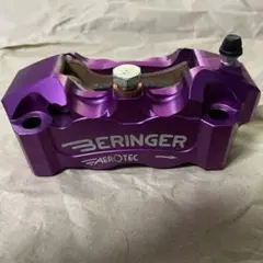 ベルリンガー2ポッドキャリパー84mm ホース リアマスター付 キャリパー＆ディスクローター | BERINGER/ベルリンガー | 株式