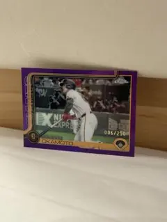 Item thumbnail for item 738f932f-583a-4a69-8355-778ac3574edb