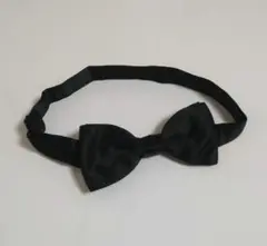 Item thumbnail for item f3baeb6a-bd4b-4f5e-8c5f-39e90c2f10dc