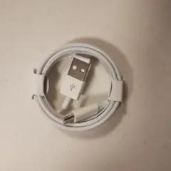 Type-C to USBケーブル ホワイト 新品 1m