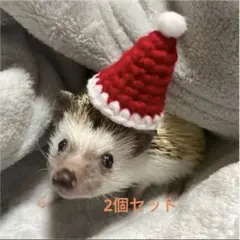 Item thumbnail for item 328c1459-b981-4161-adc1-5ab623a93378