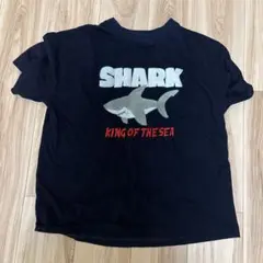 CPCM シャーク Tシャツ Mサイズ　ネイビー