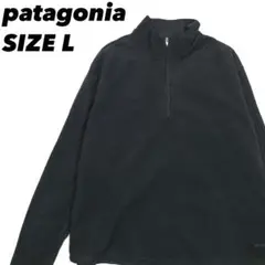 【USA製】patagonia★フリース キャプリーン ハーフジッププルオーバー