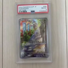 PSA8 ウソッキー AR