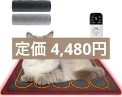 Item thumbnail for item c075191f-25ea-4e4a-ba08-53d56c476b77