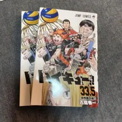 ハイキュー ゴミ捨て場の決戦 映画特典 33.5巻