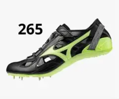 Item thumbnail for item 625d579f-63d5-4d70-96d2-8f0fa4148734