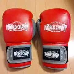 WORLD CHAMP PROFESSIONAL 12 OZ ボクシンググローブ