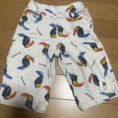Item thumbnail for item 89d59e23-6f17-4242-9ad6-268d8e2bbc44