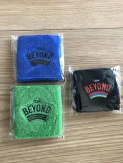 チームビヨンド　TEAM BEYOND パラスポーツ リストバンド　3個