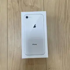 Apple EarPods &USBアダプタ