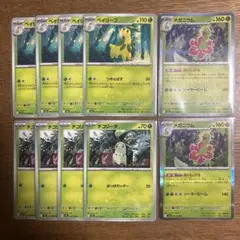 ポケモンカード　メガニウム　進化ライン　10枚 メガシンフォニア