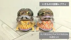 いきもの大図鑑レプティ／ツノガエルとアメフクラガエル　４点セット