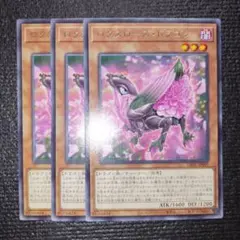 2817 ロクスローズ・ドラゴン 3枚セット