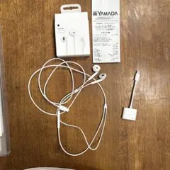 Apple EarPods Lightning Connector