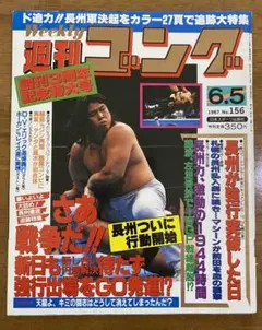 新創刊　ゴング　創刊号〜第15号 2025年最新】ゴング 創刊号の人気アイテム - メルカリ
