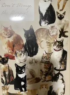 【美品】アンティーク調 ヴィンテージ 猫　看板
