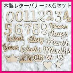 木製レターバナー28点セット 月齢フォト　ニューボーンフォト マンスリー 撮影