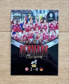 Topps Chrome UEFA EURO デンマーク代表 インサートカード