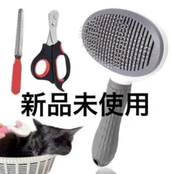 Item thumbnail for item ca62e776-c4b1-4042-b1ae-3ac628315e15