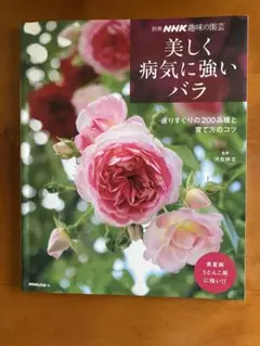 NHK 趣味の園芸　河合伸志　美しく病気に強いバラ