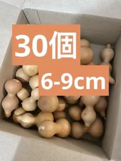 Item thumbnail for item cd5a2c69-7775-4eac-903e-55ec58463ae1