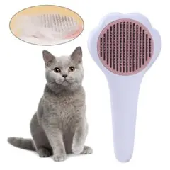 Item thumbnail for item fa2bb189-45a7-444e-89f8-92fd0d32a867