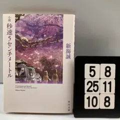 小説 秒速5センチメートル 5-8*25.10*8