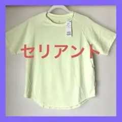 【新品未使用品】セリアント クルーネック 半袖Tシャツ レディース