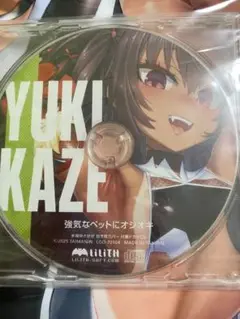 c106 水城ゆきかぜドラマCD 対魔忍RPGX