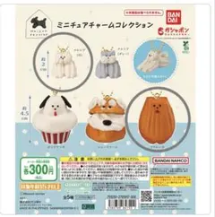 Maison terrier ミニチュアチャームコレクション　2点セット　ガチャ