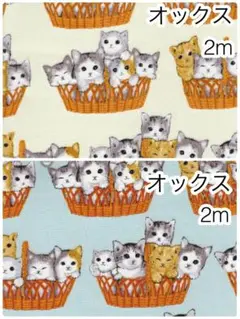 Item thumbnail for item f2732245-b7a1-4218-9dc2-d4250270d10b