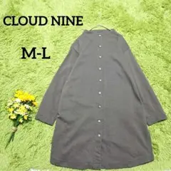 Item thumbnail for item 31e84185-c567-47e1-bd97-c3a81b0040d0