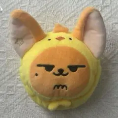 ファンチュン コインポーチ ヨンジュン プルバトゥ TXT ポップアップ トゥバ