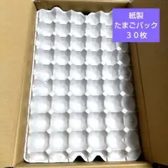 Item thumbnail for item a9a26123-856b-45e5-bdd1-5893426295c3