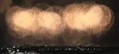 ウイスキーさん専用