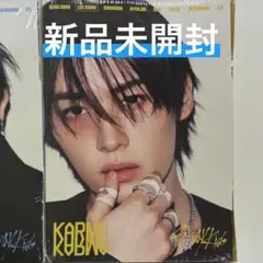 Stray Kids KARMA ACCORDION VER.スキズ　リノ　新品