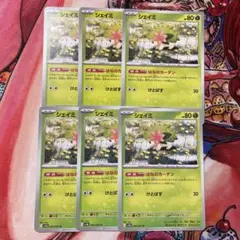 シェイミ 6枚 はなのカーテン
