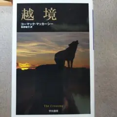 越境